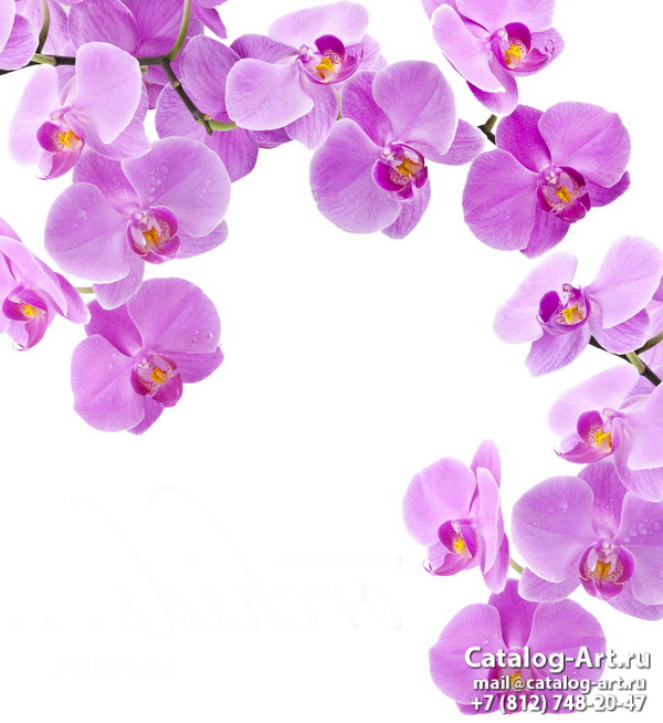 Натяжные потолки с фотопечатью - Розовые орхидеи 103